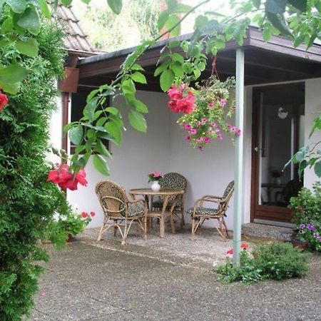 شقة Haus Antje مالينتي المظهر الخارجي الصورة